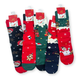 Подарунковий набір з 5 пар жіночих кашемірових шкарпеток Ecosocks