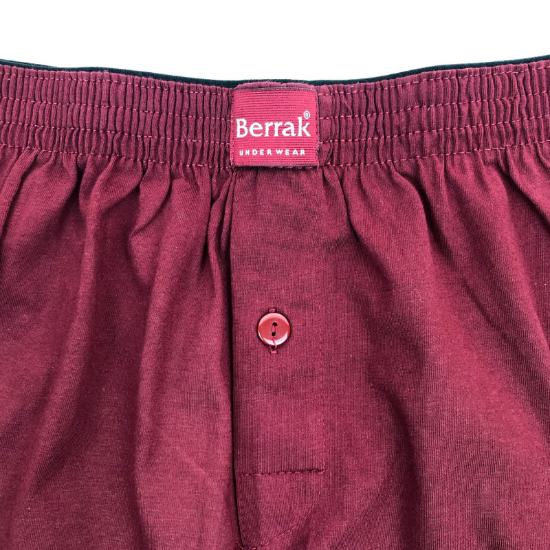 Чоловічі сімейні труси з турецької бавовни Berrak Блакитний, 3XL