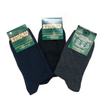 Шкарпетки чоловічі бавовняні демісезонні високі Житомир