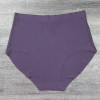 Безшовні жіночі трусики сліпи на високій посадці (великі розміри) Lavolle 8XL